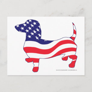 Postal Dachshund en la bandera estadounidense