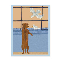 Dachshund en la ventana mirando palomas blancas
