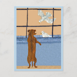 Postal Dachshund en la ventana mirando palomas blancas
