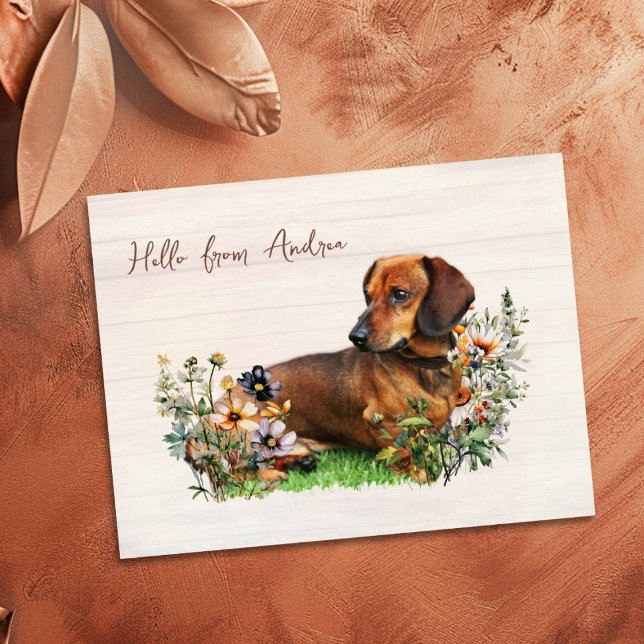 Postal Dachshund entre flores silvestres Hola desde posta (Subido por el creador)