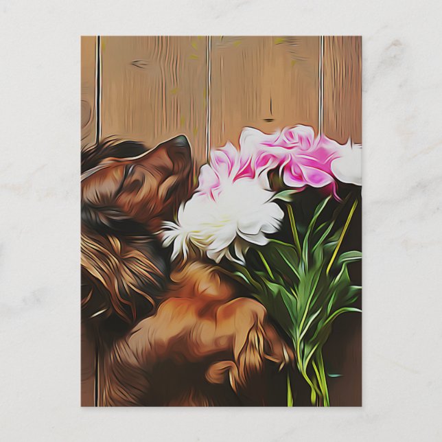 Postal Dachshund Lying On The Wooden Floor (Anverso)