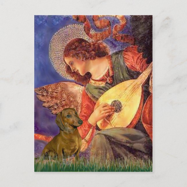 Postal Dachshund (marrón1) - Ángel de la Mandolina (Anverso)