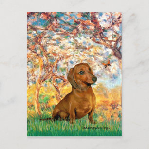 Postal Dachshund (marrón1) - Primavera