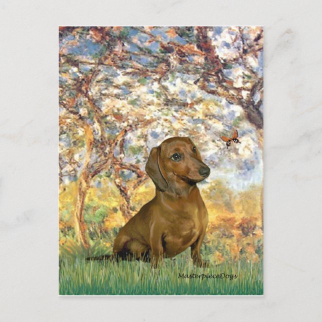 Postal Dachshund (marrón1) - Primavera (Anverso)