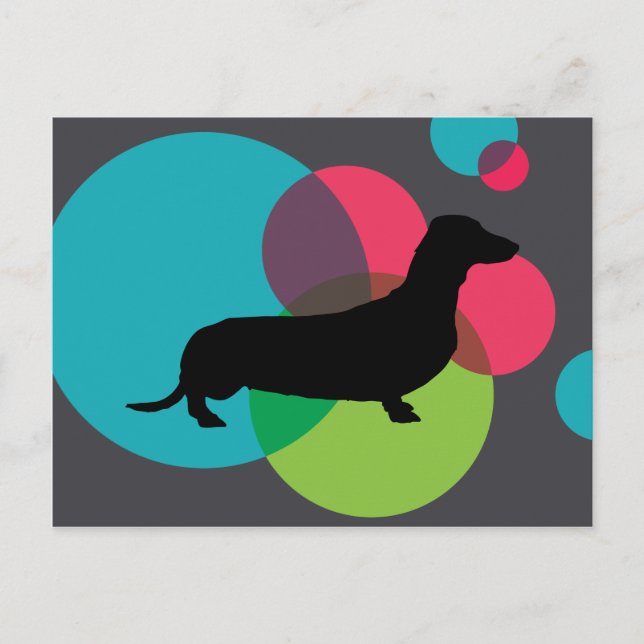 Postal Dachshund negro con un patrón de puntos brillantes (Anverso)
