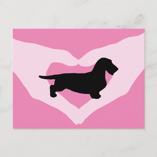 Postal Dachshund Pelo Rudo - Silueta 1 (Anverso)