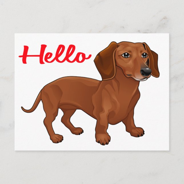 Postal Dachshund Perro Cachorro - Hola roja, pensando en  (Anverso)