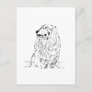 Postal Dachshund – Perro Salchicha de Pelo Largo