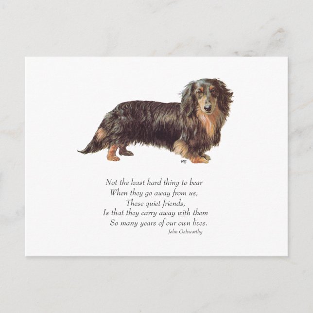 Postal Dachshund Puente del Arcoíris (Anverso)