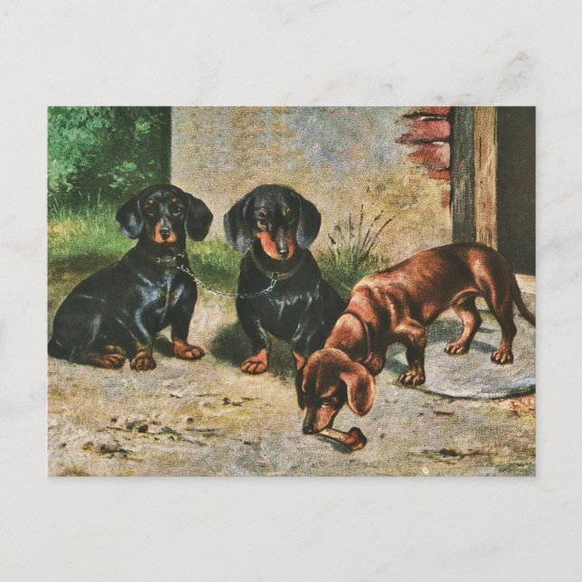 Postal Dachshund Puppies (Anverso)