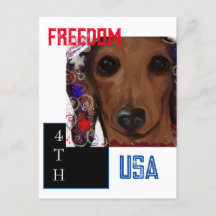 Dachshund Rojo     