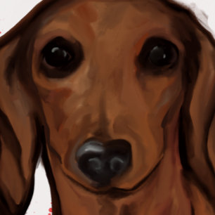 POSTAL DACHSHUND ROJO