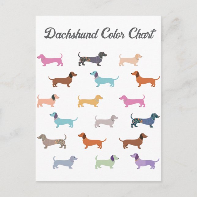 Postal Dachshund Sausage Dog Color Chart Funny (Anverso)