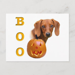 Postal Dachshund (suave) Boo