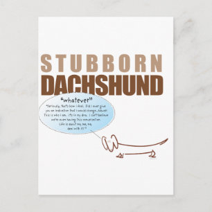 Postal ¡Dachshund terco!