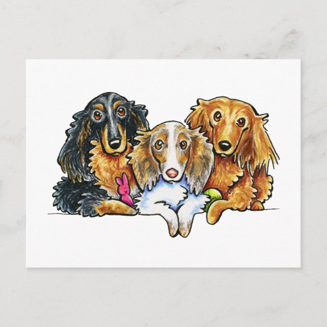 Postal Dachshund Trio de pelo largo (Anverso)