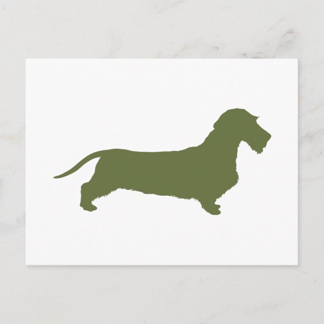 Postal Dachshund WirehaRED (Anverso)