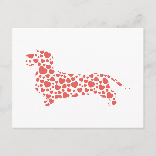 Postal Dachshund WirehaRED (Anverso)