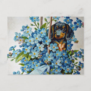 Postal Dachshund y Forget-Me-Nots