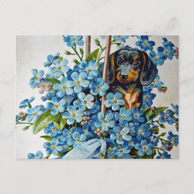 Postal Dachshund y Forget-Me-Nots (Anverso)