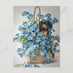 Postal Dachshund y Forget-Me-Nots