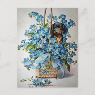 Postal Dachshund y nomeolvides