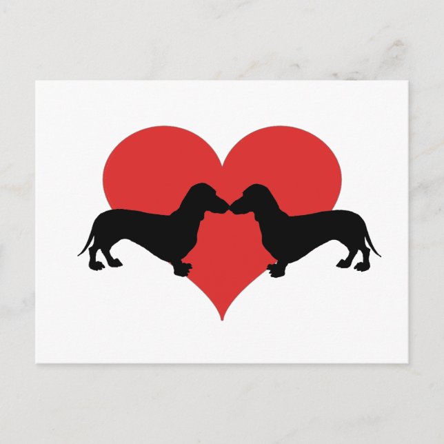Postal Dachshundlove (Anverso)