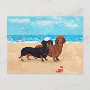 Postal Dachshunds en la playa