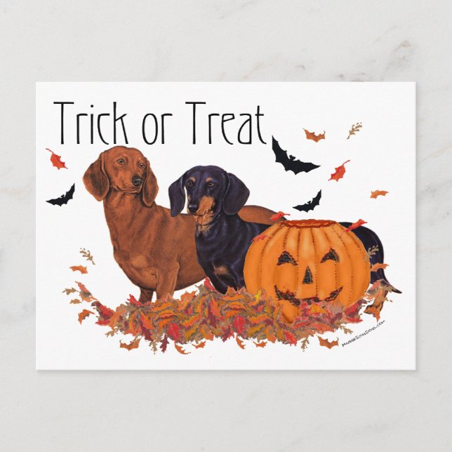 Postal Dachshunds Halloween (Anverso)