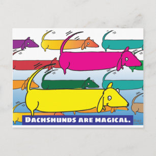 Postal Dachshunds mágicos
