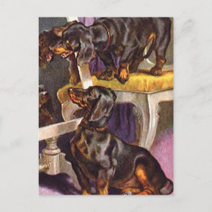 Postal Dachshunds mirando en espejo Regalos de Arte Vinta