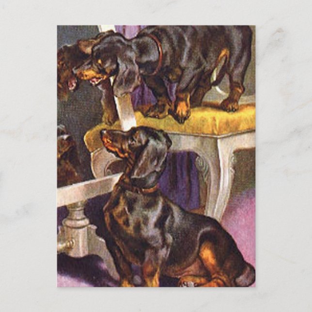 Postal Dachshunds mirando en espejo Regalos de Arte Vinta (Anverso)
