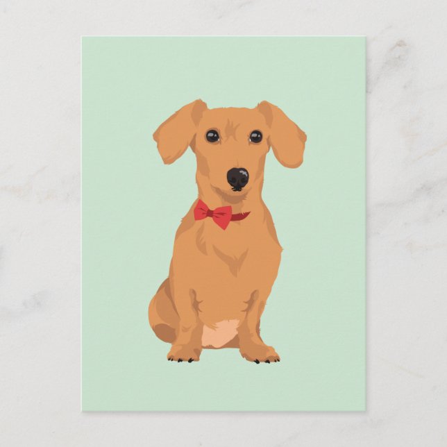 Postal Dachsund de Tan dulce con cinta de cuello para los (Anverso)