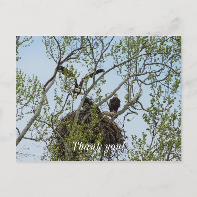 Postal Daddys Home (Anverso)