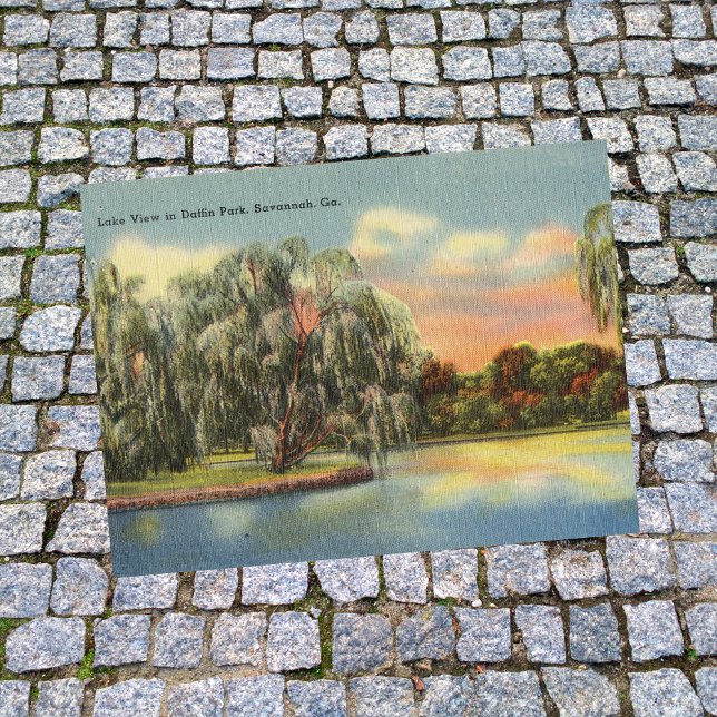 Postal Daffin Park Lake View Savannah GA retro (Subido por el creador)