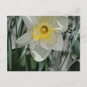 Postal Daffodil 2015