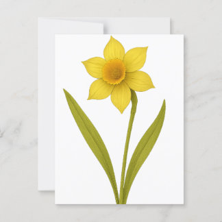 Postal Daffodil — Amor incomparable, sol