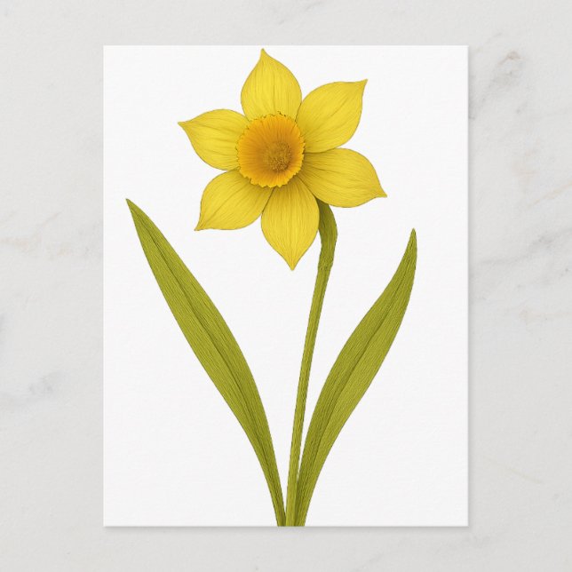 Postal Daffodil — Amor incomparable, sol (Anverso)