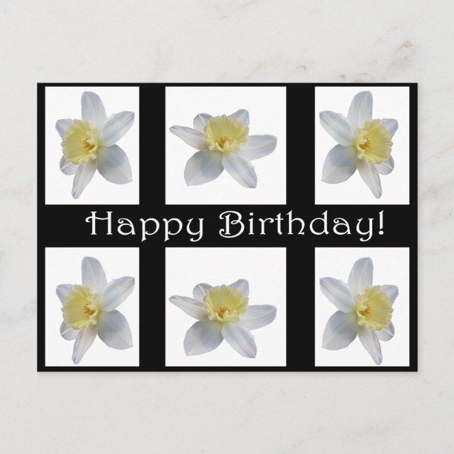Postal Daffodil blanco (Anverso)