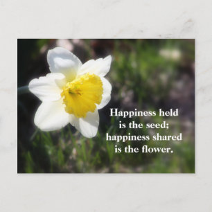 Postal Daffodil Felicidad, fotografía y cita