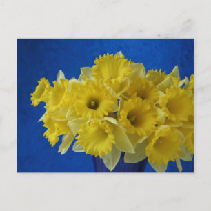 Postal daffodils