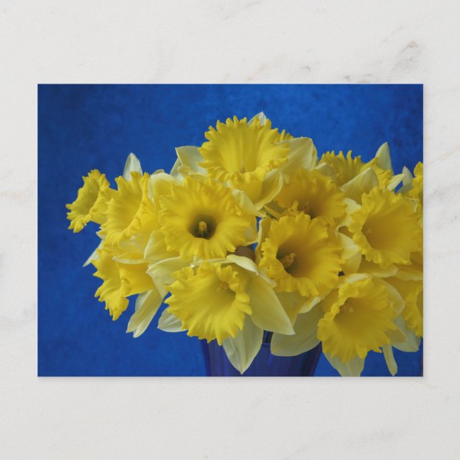 Postal daffodils (Anverso)
