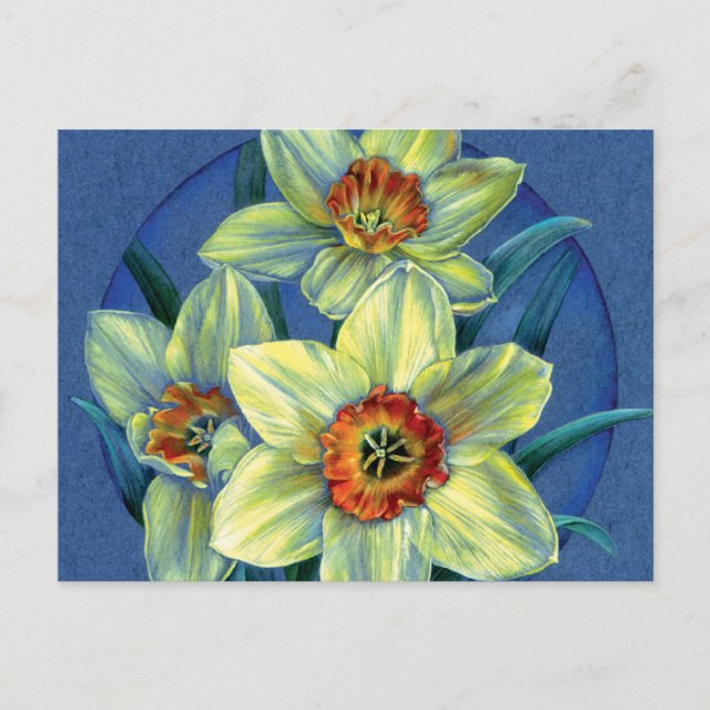 postal "Daffodils - las alegrías de la primavera" (Anverso)