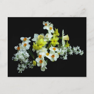 Postal Daffodils y Lilacs