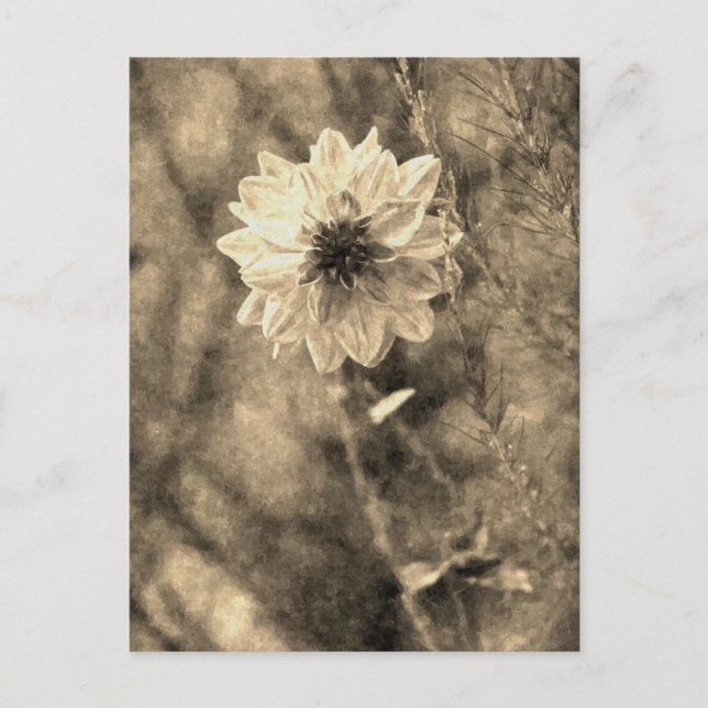 Postal Dahlia (Anverso)