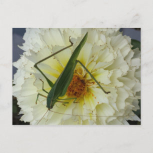 Postal Dahlia 1 - brainfart educado