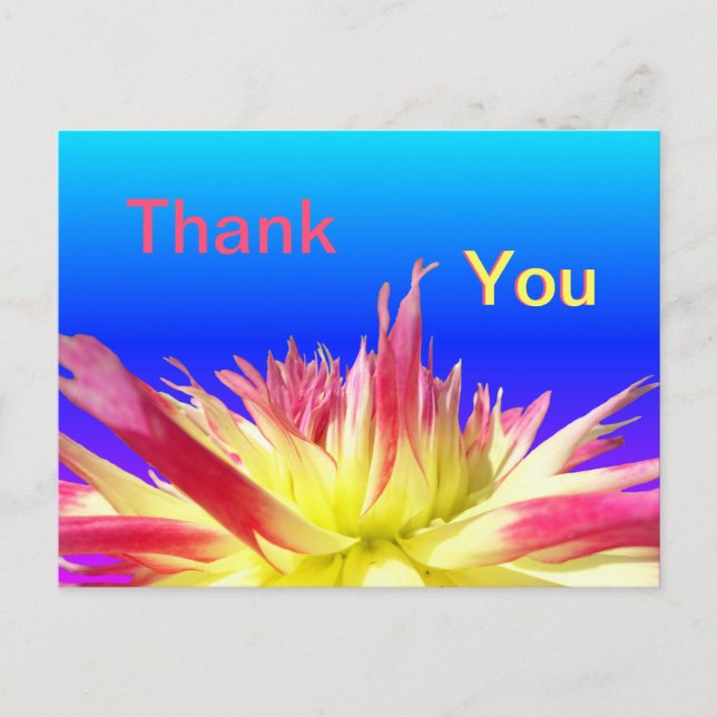 Postal Dahlia azul rosa amarillo GRACIAS Postcard (Anverso)