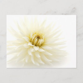 Postal Dahlia blanca