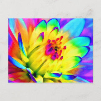 Postal dahlia colorida
