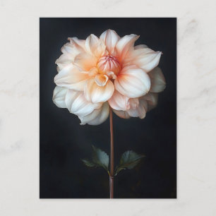 Postal Dahlia en la pintura botánica de Bloom